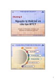 Bài giảng Thiết kế kết cấu bê tông cốt thép: Chương 3 - ThS. Trần Tiến Đắc