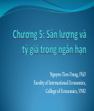 Bài giảng Tài chính quốc tế: Chương 5 - Nguyễn Tiến Dũng