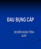 Bài giảng Đau bụng cấp