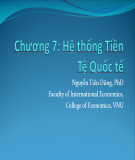 Bài giảng Tài chính quốc tế: Chương 7 - Nguyễn Tiến Dũng