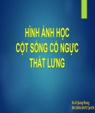 Bài giảng Hình ảnh học cột sống cổ ngực thắt lưng - BS. Lê Quang Khang
