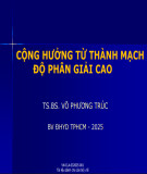 Bài giảng Cộng hưởng từ thành mạch độ phân giải cao - TS.BS. Võ Phương Trúc