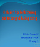 Bài giảng Hình ảnh học bình thường của tử cung và buồng trứng - BS. Huỳnh Phượng Hải