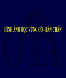 Bài giảng Hình ảnh học vùng cổ - bàn chân