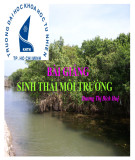 Bài giảng Sinh thái môi trường: Chương 1 - Dương Thị Bích Huệ