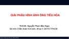 Bài giảng Giải phẫu hình ảnh ống tiêu hóa – ThS.BS. Nguyễn Phạm Bảo Ngọc
