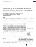 Nghiên cứu chọn hoạt chất có khả năng trừ rầy nâu (Nilaparvata lugens Stal.) gây hại trên cây lúa (Oryza sativa L.) đạt hiệu quả cao