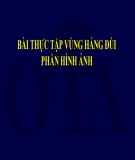 Bài thực tập vùng háng đùi phần hình ảnh
