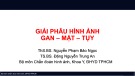 Bài giảng Giải phẫu hình ảnh gan, mật, tụy - ThS.BS. Nguyễn Phạm Bảo Ngọc