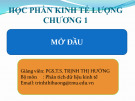 Bài giảng Kinh tế lượng: Chương 1 - PGS.TS. Trịnh Thị Hường