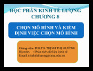 Bài giảng Kinh tế lượng: Chương 8 - PGS.TS. Trịnh Thị Hường