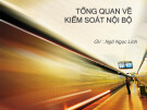 Bài giảng Kiểm soát nội bộ: Tổng quan về kiểm soát nội bộ