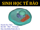 Bài giảng Sinh học tế bào - Huỳnh Duy Thảo