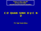 Bài giảng Cơ quan sinh dục nữ - TS. Ngô Xuân Khoa