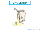 Bài giảng Giải phẫu học Ống bẹn - BS. Nguyễn Văn Đức