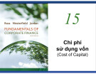 Bài giảng Tài chính doanh nghiệp: Chi phí sử dụng vốn - Phạm Tiến Minh