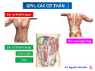 Bài giảng Giải phẫu học các cơ thân - BS. Nguyễn Văn Đức