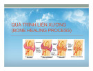 Bài giảng Quá trình liền xương