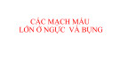 Bài giảng Các mạch máu lớn ở ngực và bụng