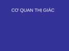 Bài giảng Cơ quan thị giác