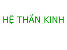 Bài giảng Hệ thần kinh (132 trang)