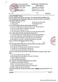 Đề thi giữa học kì 2 môn GDCD lớp 8 năm 2024-2025 - Trường THCS Gia Thiều, Long Biên