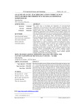 Analysis of an EFL teacher education curriculum in Vietnam from the perspective of social-emotional competences