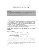 Cation nhóm I: Ag+, Pb2+, Hg22+