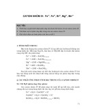 Cation nhóm IV: Fe3+, Fe2+, Bi³+, Mg2+, Mn2+