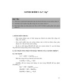 Cation nhóm V: Cu2+, Hg2+