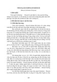 Viêm mạch Schönlein-Henoch (Henoch-Schönlein Purpura)
