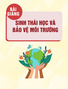 Bài giảng Sinh thái học và bảo vệ môi trường