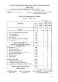 Mẫu Báo cáo tình hình tài chính (Mẫu số B01 - DNSN)