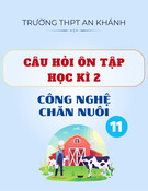 Câu hỏi ôn tập kiểm tra học kì 2 môn Công nghệ chăn nuôi lớp 11 năm 2024-2025 - Trường THPT An Khánh