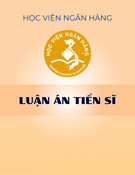 Luận án Tiến sĩ Kinh tế: Các nhân tố ảnh hưởng tới lựa chọn chế độ tỷ giá tại một số quốc gia đang phát triển tại Châu Á