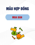 Mẫu Hợp đồng mua bán mua bán các loại đèn trang trí