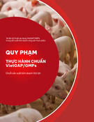 Quy phạm Thực hành chuẩn VietGAHP/GMPs: Chuỗi sản xuất kinh doanh thịt lợn