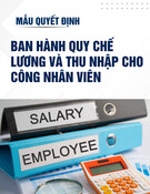 Mẫu Quyết định ban hành quy chế lương và thu nhập cho công nhân viên