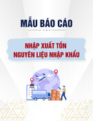 Mẫu Báo cáo nhập xuất tồn nguyên liệu nhập khẩu