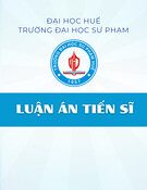 Luận án Tiến sĩ Vật lý: Tính chất điện tử vàcác đặc trưng tiếp xúc trong cấu trúc xếp lớp van der Waals dựatrên MA2Z4(M = kim loại chuyển tiếp; A = Si, Ge; Z = N, P)