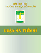 Luận án Tiến sĩ ngành Quản lý đất đai: Nghiên cứu các yếu tố ảnh hưởng đến giá đất ở trong bối cảnh phát triển đô thị tại Thành phố Huế