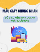 Mẫu Giấy chứng nhận đủ điều kiện kinh doanh xuất khẩu gạo