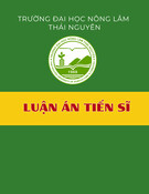 Luận án Tiến sĩ Khoa học môi trường: Nghiên cứu xử lí dư lượng kháng sinh trong nước bằng công nghệ quang xúc tác sử dụng vật liệu g-C3N4 pha tạp
