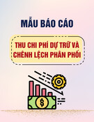 Mẫu Báo cáo Thu chi về phí hàng dự trữ và tình hình phân phối chênh lệch thu chi (Mẫu số B 13 - H)