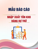 Mẫu Báo cáo Nhập xuất tồn kho vật tư hàng hóa dự trữ (Báo cáo mẫu B07-H)