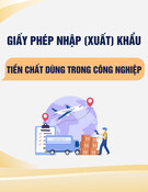 Mẫu Giấy phép nhập (xuất) khẩu tiền chất sử dụng trong lĩnh vực công nghiệp