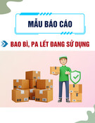 Mẫu Báo cáo Bao bì, pa lết đang sử dụng (Mẫu số B 17-H)