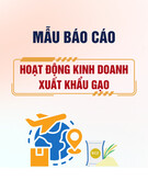 Mẫu Báo cáo Hoạt động kinh doanh xuất khẩu gạo (Mẫu số 04)