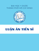 Luận án Tiến sĩ Dược học: Nghiên cứu thành phần hóa học và hoạt tính sinh học của loài Thiên niên kiện lá lớn (Homalomena pendula (Blume) Bakh. f.) họ Ráy (Araceae)