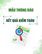 Mẫu Thông báo kết quả kiểm toán